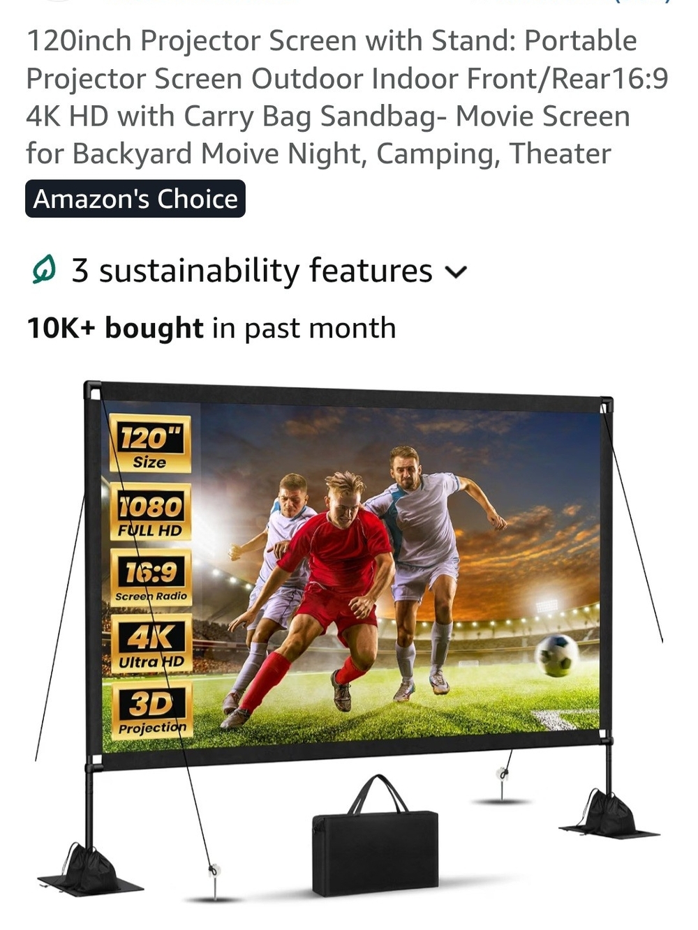 Portable Outdoor/Indoor Projector Screen with Stand - Black